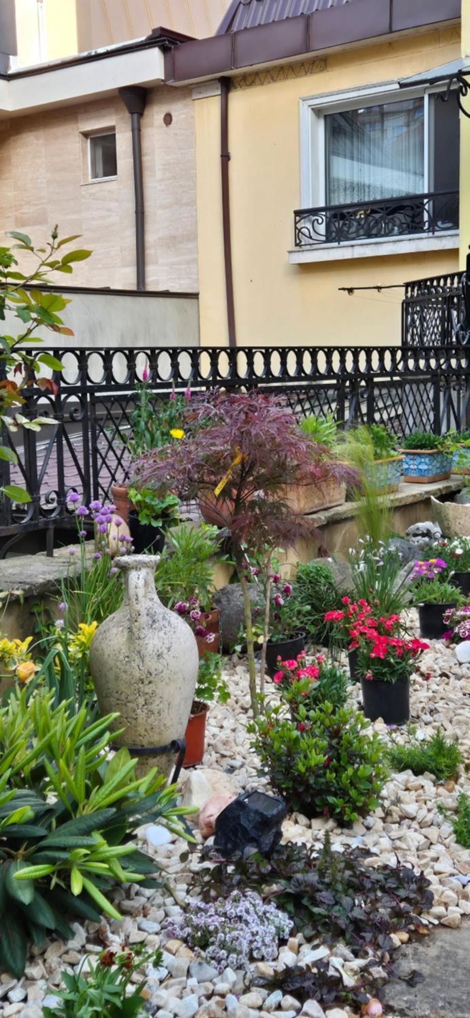 Luxury Private House In City Center Велико-Тырново Номер фото